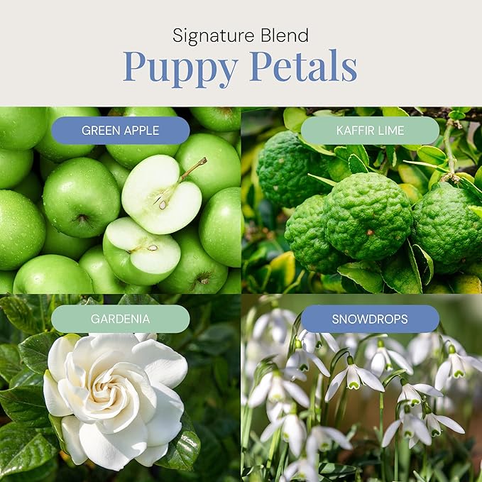 Air Esscentials Puppy Petals Aroma Oil - Pet-Preferred Pure Essential Oil for Scent Machines & Cold-Air Diffusers | Crisp Apple & Zesty Lime | Floral Light & Airy Musk | Safe for Pets | 300mL