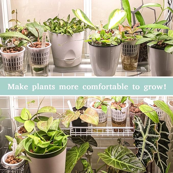 Legigo 6 LB Organic Leca Clay Pebbles for Plants, 4mm-16mm 100% Natural Leca Balls for Indoor Plants, Hydroton Clay Pebbles for Plants Hydroponic Aquaponics Growing Orchid Drainage Terrarium