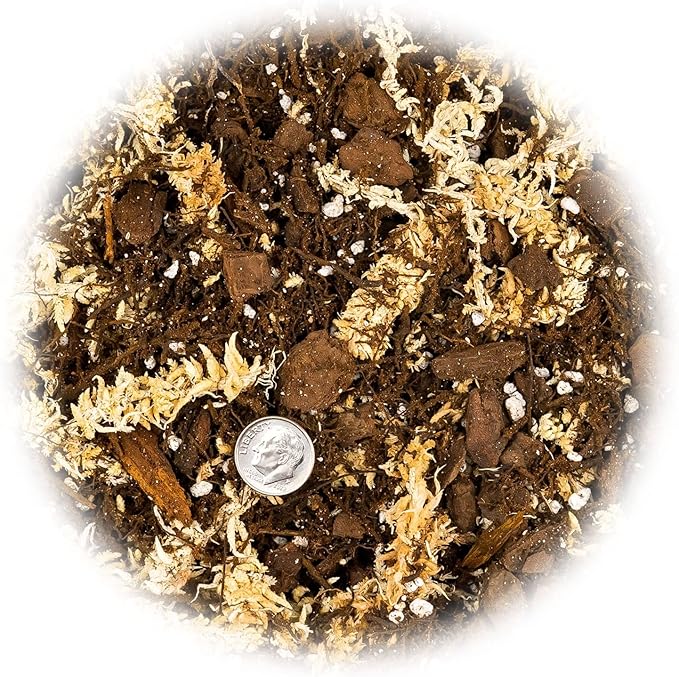 Premium Orchid Mix by GARDENERA | Fern + New Zealand Pine Bark + Sphagnum Moss + Perlite | Best for Growing and Repotting Orchids - 2 Quart Bag