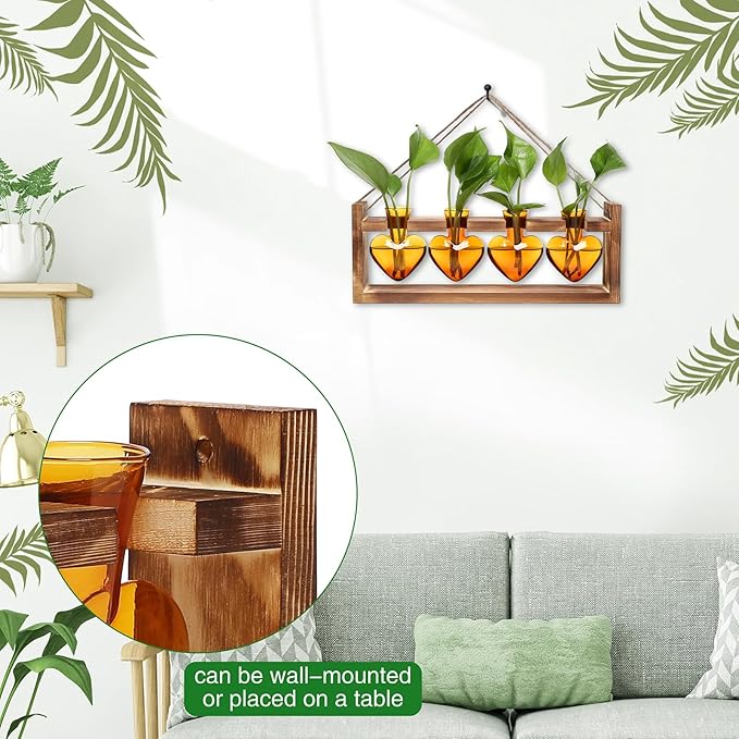 Plant Propagation Stations Heart Plant Terrarium Kit Gift for Women Plant Lover Glass Vases