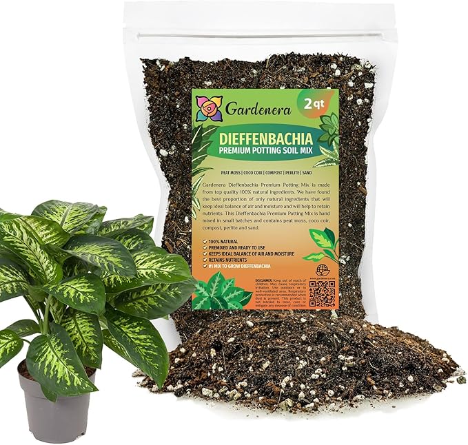 Premium Dumb Cane Potting Soil Mix - Ideal Blend for Growing Robust and Healthy Dumb Cane Plants - 2 Quart