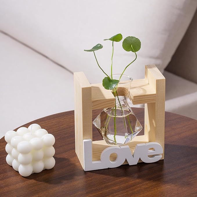 Cute Room Decor Home Decor Office Decor Desk Accessories Women Birthday Present Wife Ideas Propagation Station Vases Plant Terrarium Stuff Grandma Items Valentinesday Decorations for Her