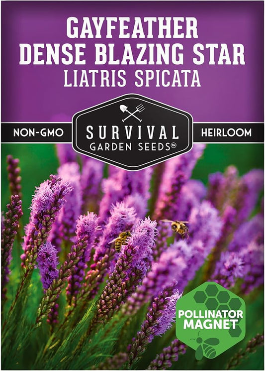 Survival Garden Seeds - Dense Blazing Star (Liatris spicata) | Gayfeather | Prairie Feather | North American Native Wildflower Seeds - 1 Pack
