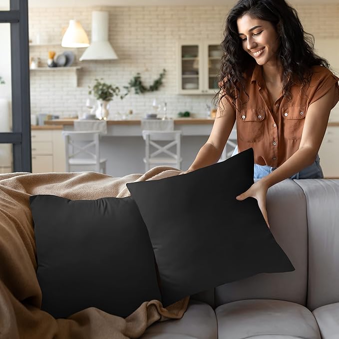 Utopia Bedding Throw Pillows Insert (Pack of 2, Black) - 20 x 20 Inches Bed and Couch Pillows - Indoor Decorative Pillow