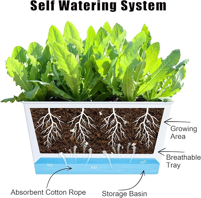 Window Box Planter 6 Pcs, 12.1 Inches Self Watering Plant Pots Rectangle Flower Pots with Drainage Holes and Breathable Trays, Vegetable Planters for Windowsill Patio Garden Balcony Porch Yard (White)
