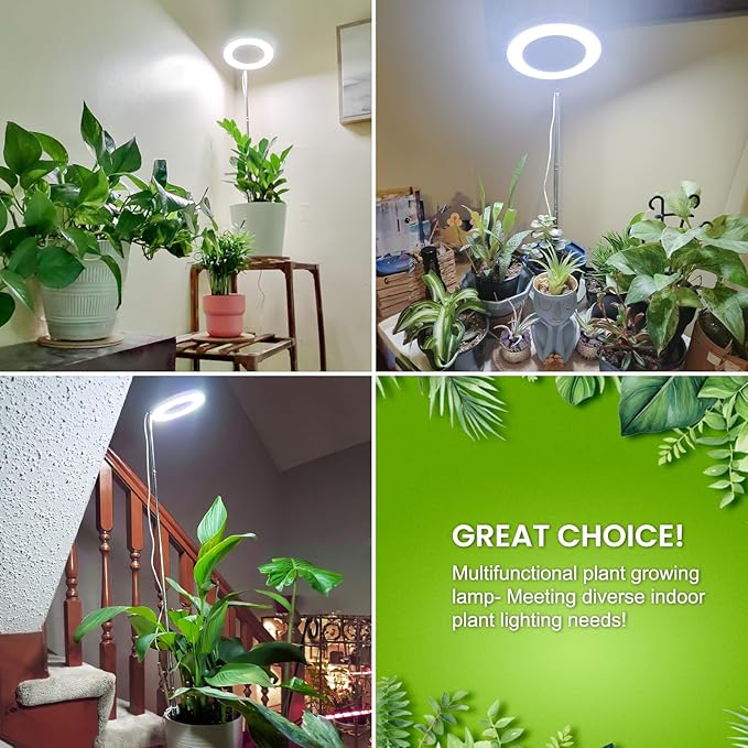 Grow Lights for Indoor Plants Full Spectrum, 80 LEDs Plant Light for Indoor Growing with 2 Mounting Options, 6/12/16H Timer, 3 Spectrum Modes, 9.8"-37.4" Height Adjustable Desk Grow Lamp