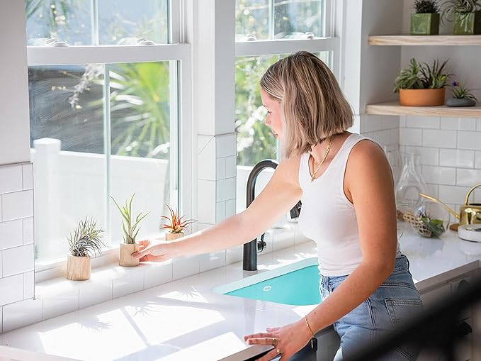 Glass Teardrop Beach Plant Terrarium - Air Plant, Sand, Starfish and Shell in Propagation Jar - Home and Garden Decor Plant Pot- Easy Care Indoor and Outdoor Plant Vase (3 Teardrop Set)