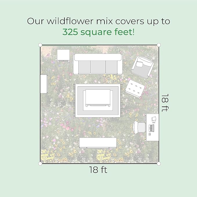 Created By Nature Kansas Wildflower Seed Mix, 16 Flower Varieties, 40,000 Seeds