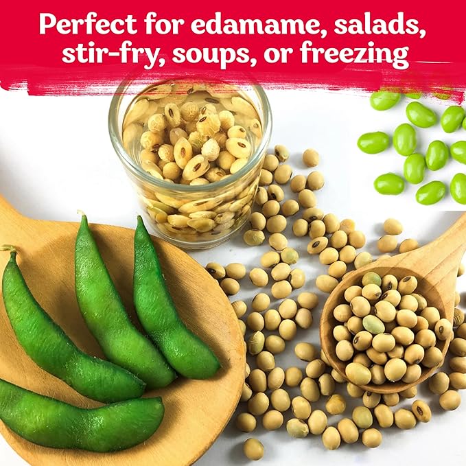 KVITER 40 Soy Bean Midori Giant Edamame Seeds (Glycine max) - Green Soybean, Soy Beans Organic Non GMO Variety, Sweet Nutty Flavor - Heirloom Vegetable Seeds for Planting Outdoors in Home Garden