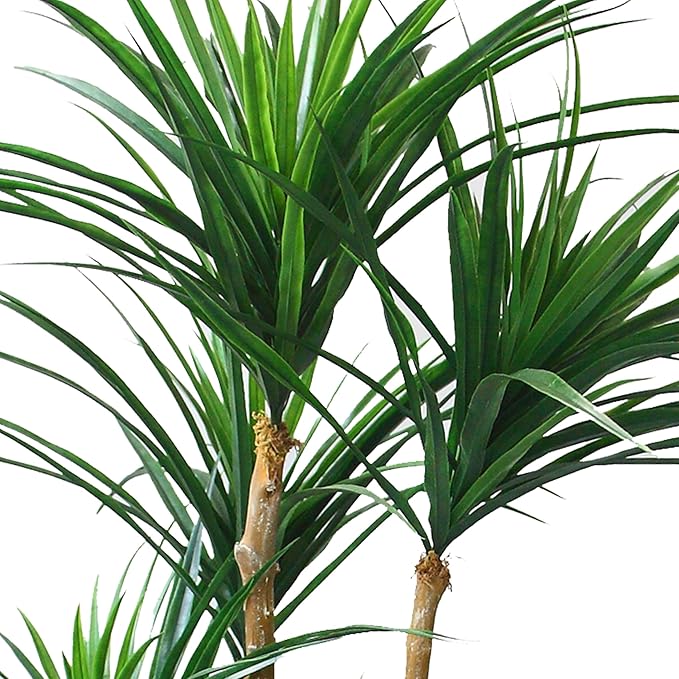 Pure Garden Set of 2 Artificial Trees - 51-Inch Tropical Yucca Plants with Rubber Leaves and Weighted Pots for Living Room or Office - Faux Plants