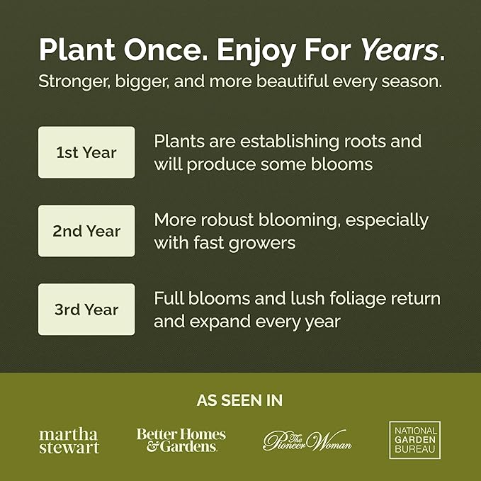 Eden Brothers All Perennial Wildflower Mixed Seeds for Planting, 10 lb, 4,800,000+ Seeds with Lupine, Shasta Daisy | Attracts Pollinators, Plant in Spring or Fall, Zones 3, 4, 5, 6, 7, 8, 9, 10