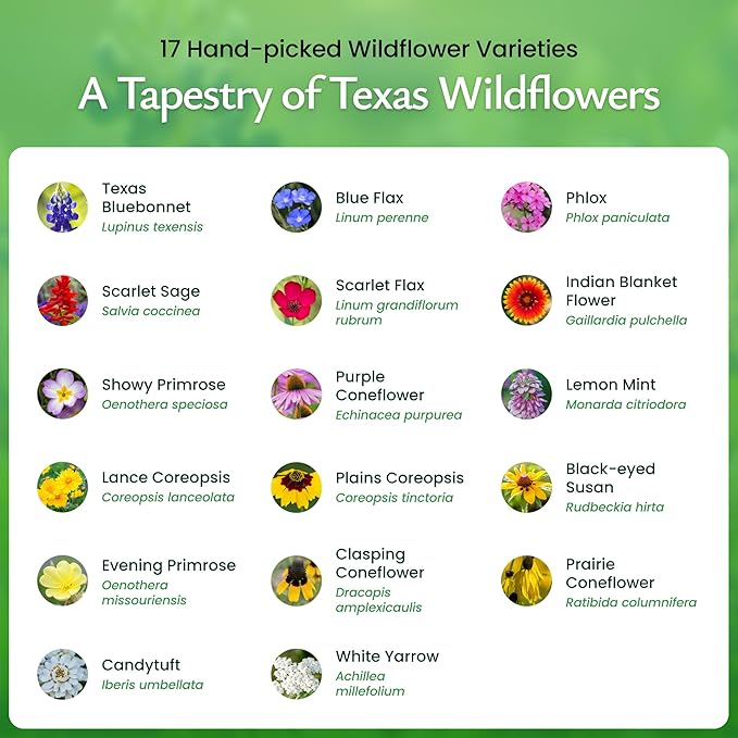 Created By Nature Texas Wildflower Seed Mix with Texas Bluebonnet Seeds, 17 Flower Varieties, 60,000+ Seeds