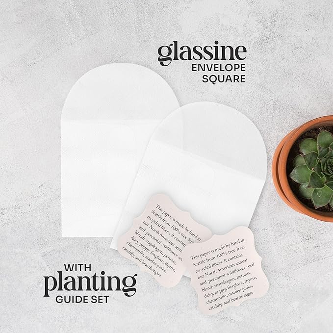 Set of 24 Onesie – Plantable Seed Paper Embedded with Wildflower Seeds for Bridal Shower, Wedding Gift, Birthday, & Other Milestone Celebrations