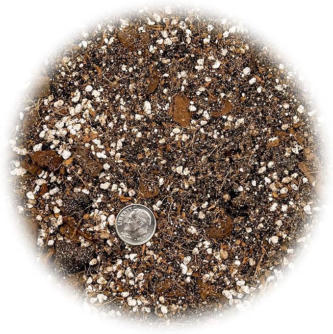 Premium Spider Plant Potting Soil Mix (2 Bags of 5 Quart)