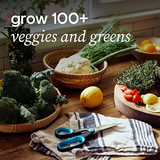 Farmstand Starter Kit with Glow Rings and 36 Seedling Credits | Large Hydroponic Growing System Kit | Vertical Garden Planter Tower | 6ft 7in Tall