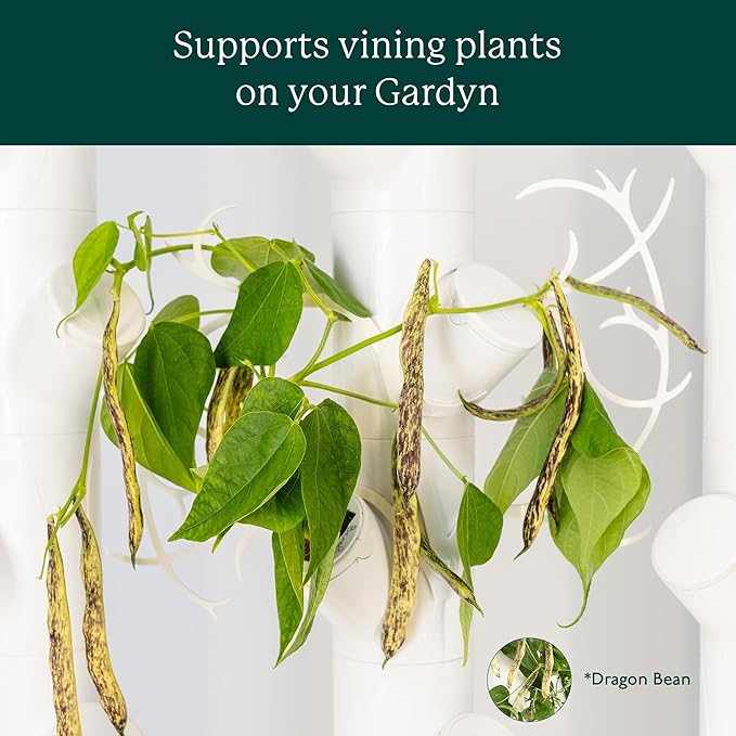 Gardyn Trellis Hydroponics Growing System Accessory That Supports Vining Indoor Plants – 5 Pack (for use with All Gardyn Vertical Indoor Garden Hydroponics Growing Systems and Tower Gardens)