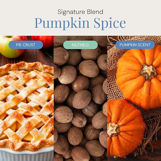Pumpkin Spice Aroma Oil, Seasonal Essential Oil Blend for Diffusers & Scent Machines, Cozy Autumn & Holiday Fragrance, Cold-Air Diffuser Compatible, 100mL