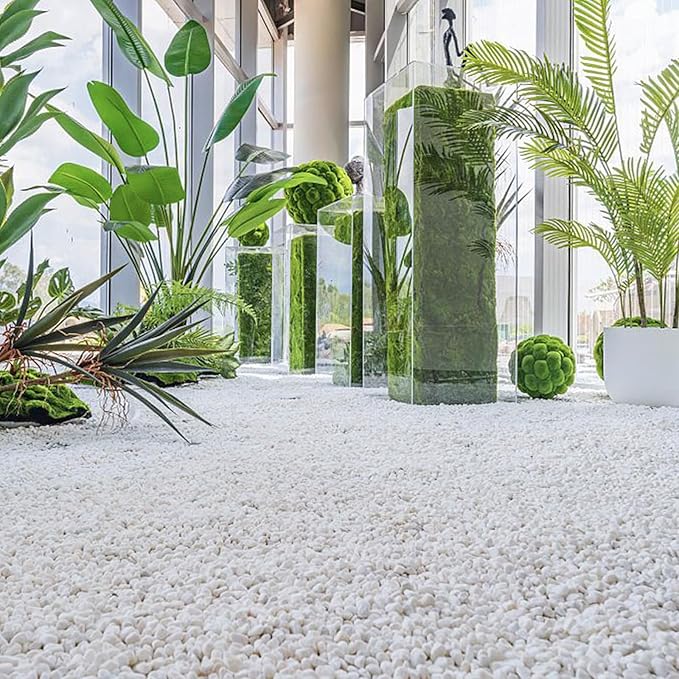 10 LB White Pebbles for Plants, 3/8 inch White Rocks for Vases Landscaping, Small Decorative Stones for Indoor Outdoor, Polished