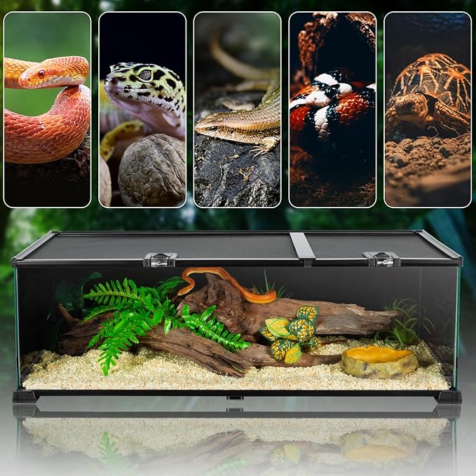 REPTIZOO Reptile Terrarium Tank 30" x 12" x 10", Black-Tinted Glass Snake Tank with Top Feeding Ports Top Screen Ventilation Reptile Habitat for Snake Spider