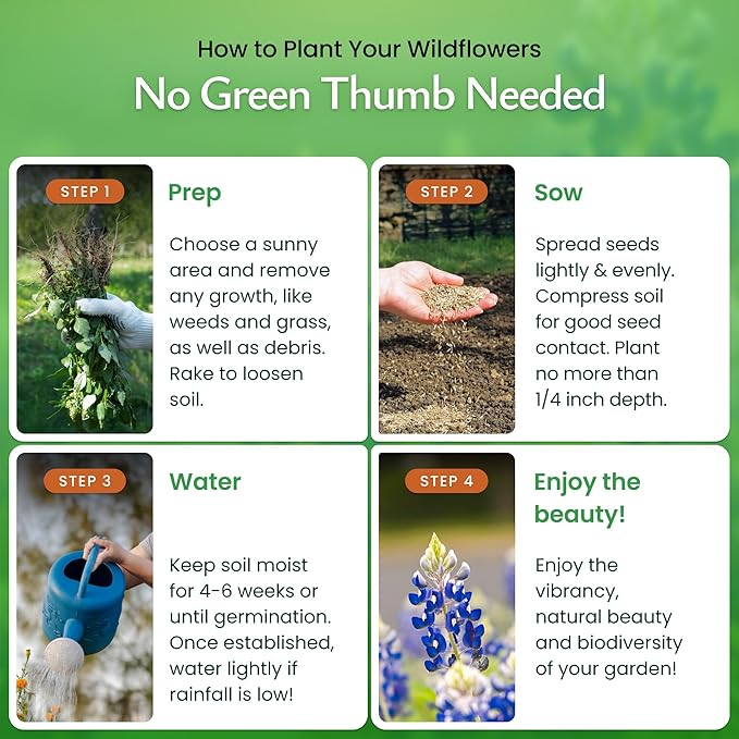 Created By Nature Texas Wildflower Seed Mix with Texas Bluebonnet Seeds, 17 Flower Varieties, 60,000+ Seeds