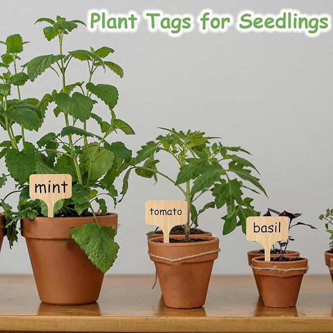 70Pcs Bamboo Plant Labels with 1 Marker Pen, T-Type Natural Seedling Nursery Sign Tags, Wood Garden Markers Decorative Patio Tags for Outdoor Indoor Potted Plants Herbs Flowers Vegetables