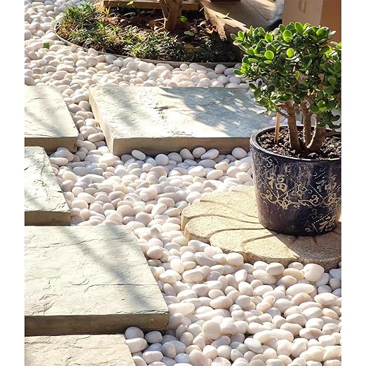 10 lbs White Pebbles for Indoor Plants, 0.8-1.2 Inch Small White River Rocks Stones for Planters, Vases, Fish Tank, Garden, Landscaping, Top Dressing and Bottem Drainage