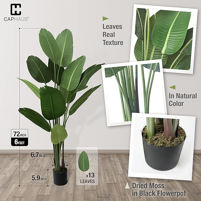 CAPHAUS 6 Feet Artificial Bird of Paradise, 72 Inch with 13 Trunks, Premium UV Resistant Lifelike Fake Plant in Pot with Dried Moss for Office, Indoor/Outdoor Use & Tropical Home Décor