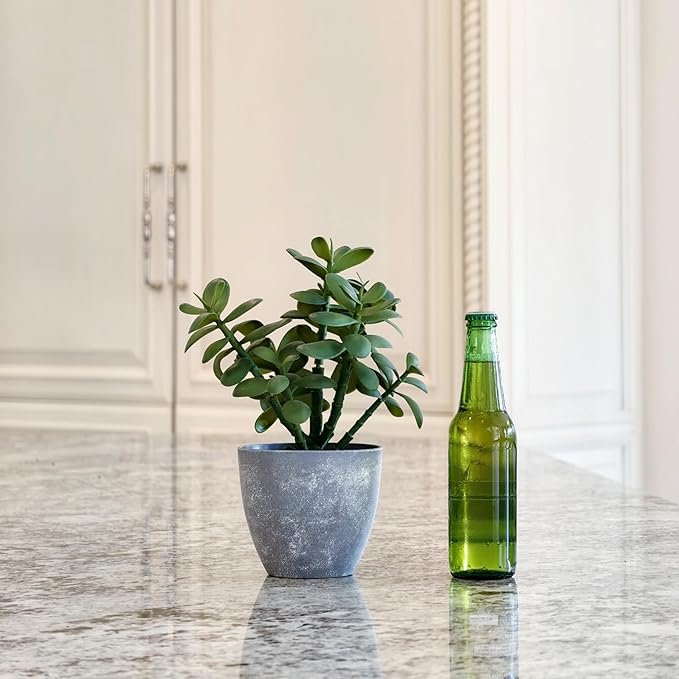 365 Blooming Decor Artificial Jade Plant 12 inch in Gray Pot for Home, Office Decor, Money Tree, Crassula ovata (Gray Pot, 12 inch)