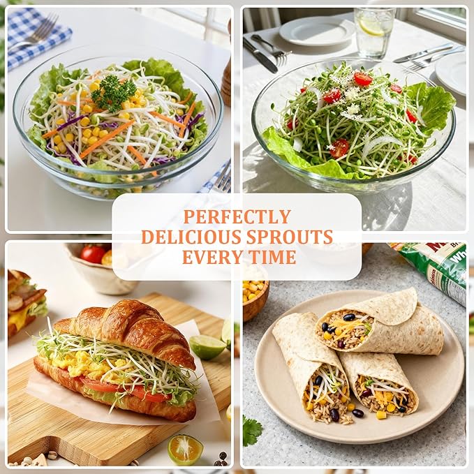 Seed Sprouting Kit with Mung Beans 80g, 2 Large Wide Mouth Mason Jars with Sprout Lids, Blackout Sleeves, Drain Tray, Stainless Steel Stand, Sprouts Growing Kit for Growing Bean Alfalfa Sprout Seeds