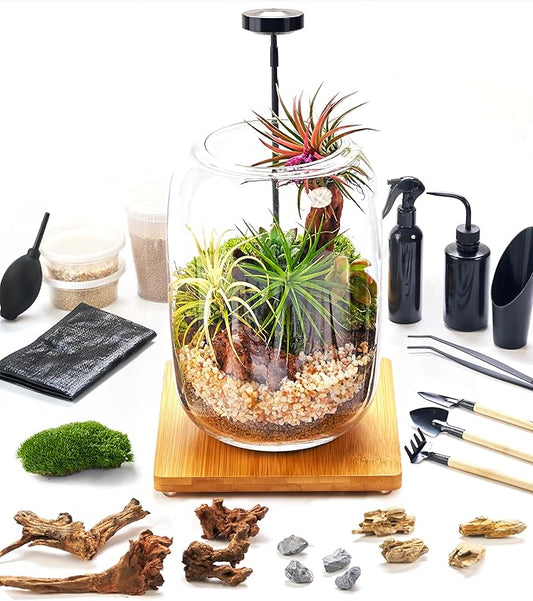 Terrarium Kit/Supplies Terrarium Plants Set with Grow Light, for Succulents Miniature Gardening, Include Terrarium jar Tool Set Live Moss Rocks Soil Driftwood and Decor, for Plant Lovers