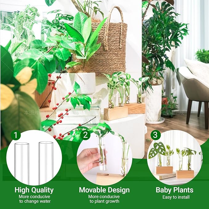 Ivolador Propagation Stations Double Test Tube Plants Terrariums in Wooden Stand Propagation Station for Hydroponic Plants Office Home Decoration