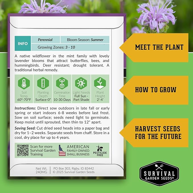 Survival Garden Seeds - Bergamot Herb (Bee Balm) Seed for Planting - 2 Packets with Instructions to Grow Monarda Fistulosa Wildflowers in Your Home Vegetable Garden - Non-GMO Heirloom Variety