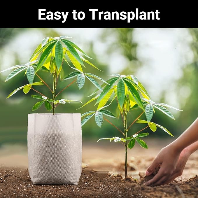 Plant Nursery Bags, 200 pcs 9.8 x 11 in Non-Woven Fabric Seedling Bags Plants Pouch, Plant Grow Bags for High Seedling Survival Planting Growing Flowers Fruit Tree Seed Starting