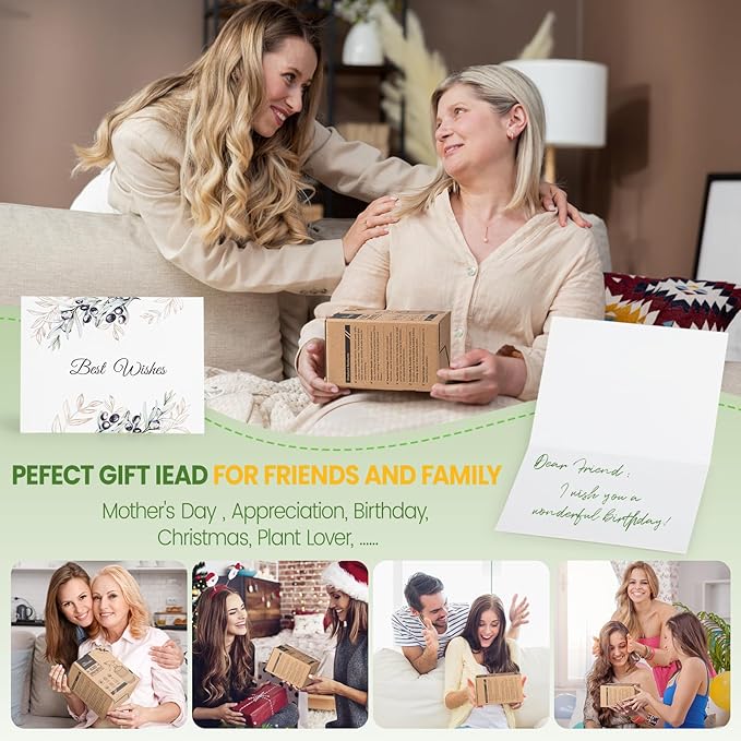 Glass Plant Mister Bottle - 13.5 oz Refillable Leak Proof Water Spray Bottle for Indoor Plants, Spring Gardening,Cleaning, Hair, Pets Care with Adjustable Mist Nozzle (Green)