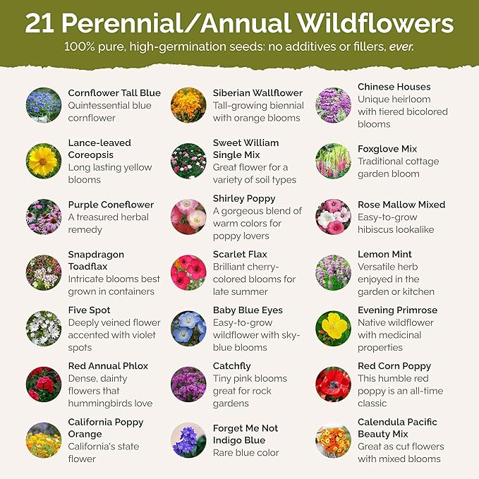 Eden Brothers Partial Shade Wildflower Mixed Seeds for Planting, 10 lb, 4,800,000+ Seeds with Sweet William, Foxglove | Attracts Pollinators, Plant in Spring or Fall, Zones 3, 4, 5, 6, 7, 8, 9, 10