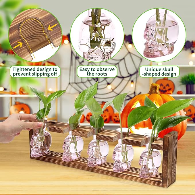 Plant Terrarium Propagation Stations Halloween Skull Planter Vase Skulls Decor with Wooden Stand Gife for Father - 5 Vases