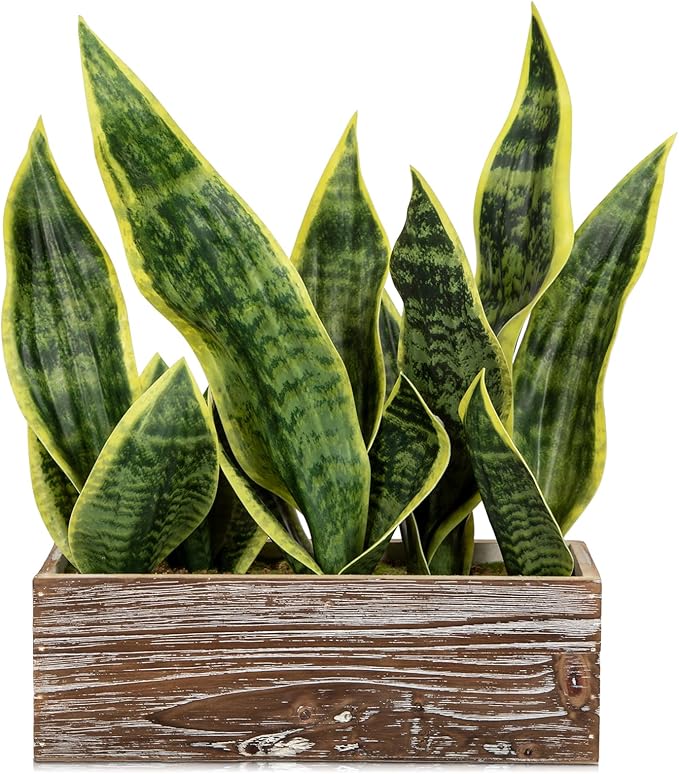 Fake Snake Plant in Rustic Wooden Planter 15.7 Inch Tall Artificial Sansevieria Trifasciata Plants Faux Potted Tropical Plant for Farmhouse Housewarming Home Office Modern Indoor Outdoor Decor