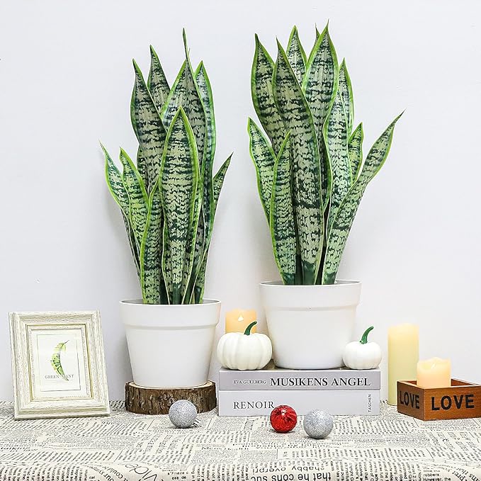 Artificial Snake Plant, Faux Sansevieria Agave Plants with White Pot, 21-inch Potted Fake Decorative Plant for Home Office Decoration Housewarming Gift (Set of 2)