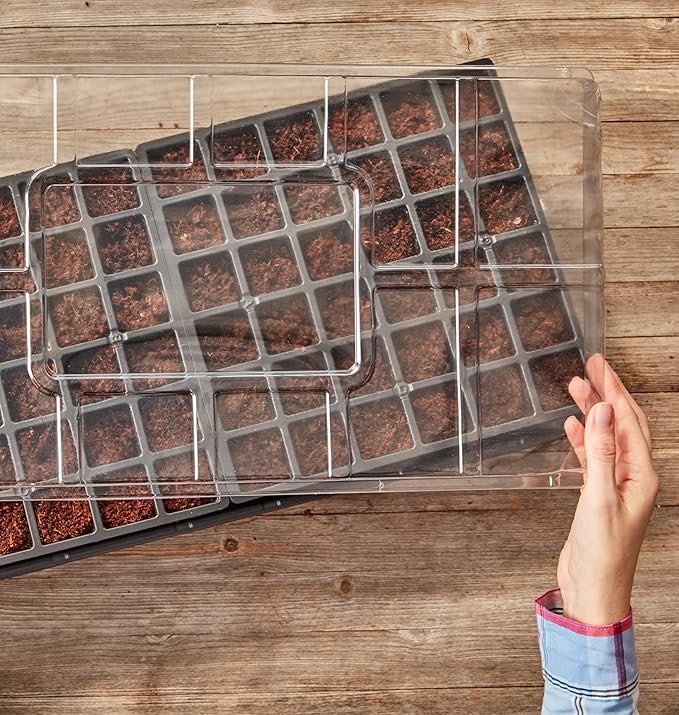 Burpee Self-Watering Seed Starter Tray, 72 Cells