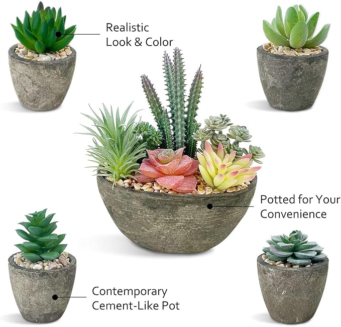 Succulents Plants Artificial Set of 5, Realistic Fake Succulents with Cement Like Pots for Home Office Decoration.