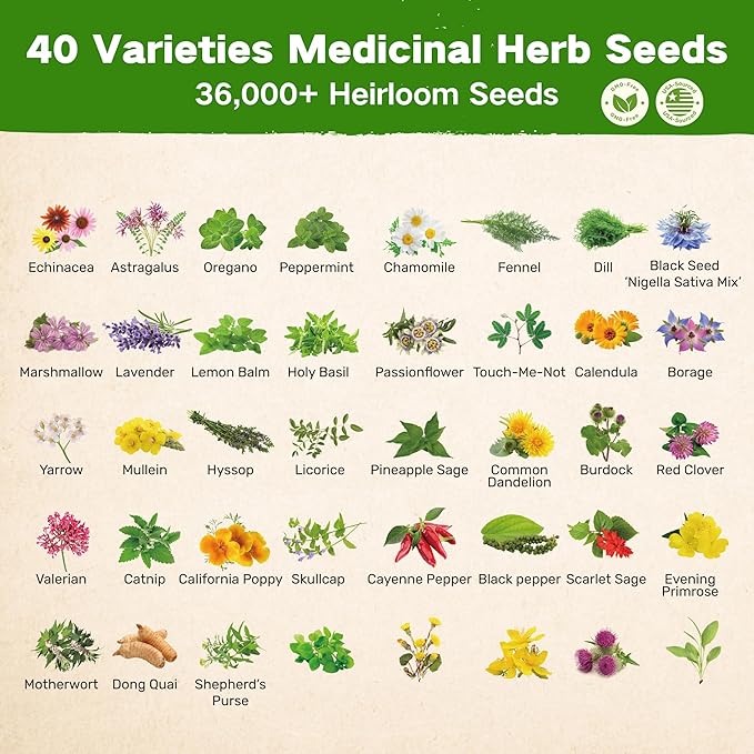 LUSH&DEW Medicinal Herb Gardening Gifts for Herbalists, Apothecary Seed Chest, 40 Varieties 36,000+ Non-GMO Heirloom Seeds for Planting Herbs in Raised Bed Windowsill, Survival Seed Kit for Herbal Tea