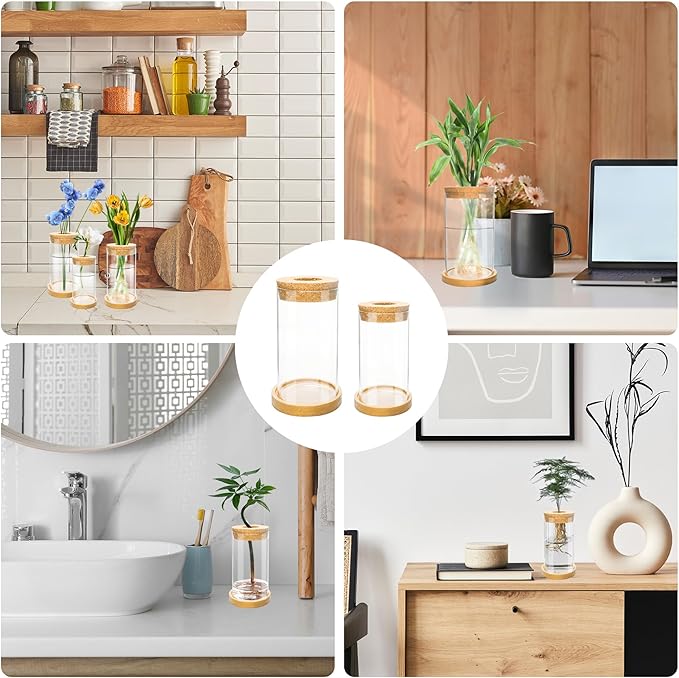 8 Pcs Plant Terrarium Desktop Glass Planter Plant Propagation Tabletop Propagation Vase Containers with Cork and Wooden Saucer for Growing Hydroponic Plants Garden Home Office Decor-
