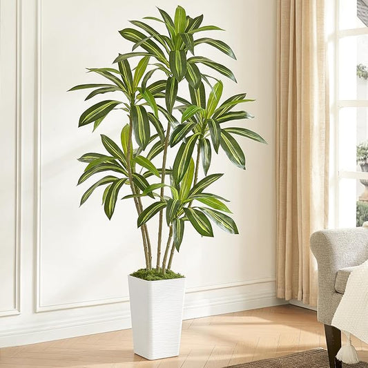 6FT Artificial Dracaena Tree with White Planter and Fake Moss - Real Touch Faux Plant for Home & Office Decor, Lifelike Yucca Indoor Realistic Floor Tree, Lightweight Potted Plants