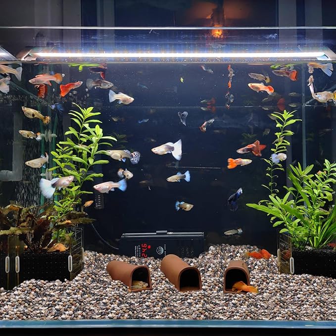 10lbs Rocks for Plants Indoor, 3/8 Inch Small Pebbles for Plants, Aquariums, Bamboo, Vase, Succulent, Outdoor Landscaping, Decorative Plant Rocks for Pots Indoor, Polished Mixed Color