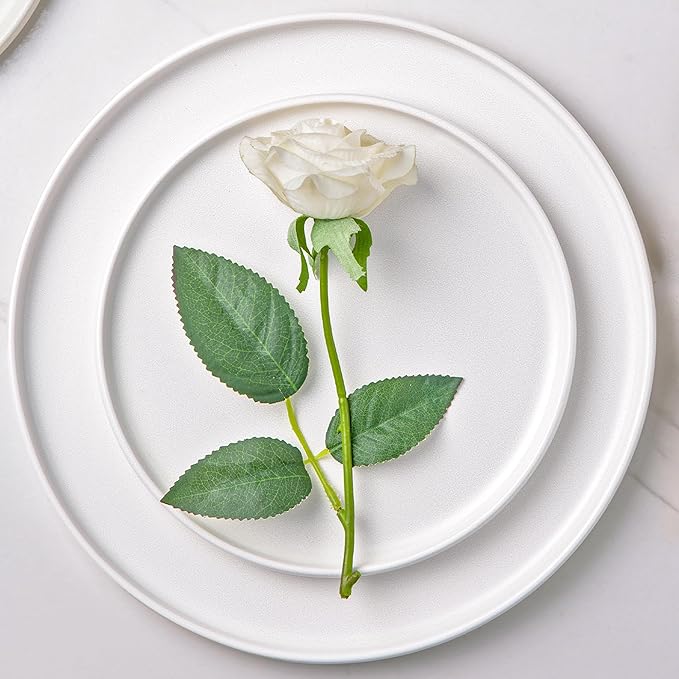 AmorArc Ceramic Dinner Salad Plates Set of 4, 8.5 Inch Reactive Matte Glaze Dish Set, Dessert, Salad, Appetizer, Small Dinner Plate, Microwave, Dishwasher Safe,Scratch Resistant,Matte White