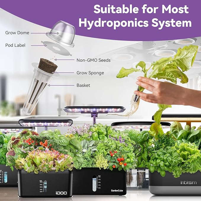 inbloom Salad Seed Pod Kit Compatible with AeroGarden, Ahopegarden, iDoo, MUFGA Hydroponics Growing System, 400+ Mixed Seeds with American Fast/Paris Island/Buttercrunch/Romaine Lettuce (7-Pod)