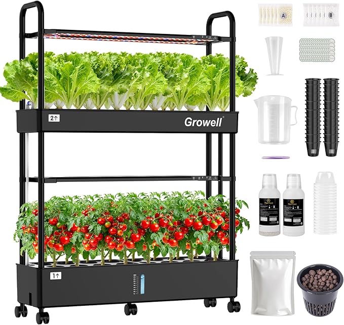 Large Basket Hydroponics Growing System Kit, 32 Pods Vertical Hydroponic Garden with 2 Grow Light Modes, Auto Circulating Water System, 32L Indoor Gardening System for Herb Vegetable Fruit