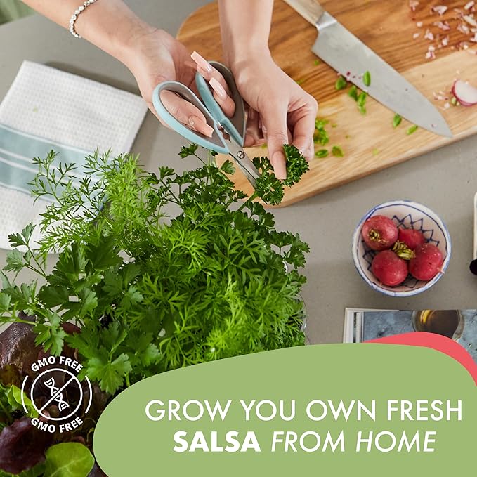 Garden Republic Salsa Grow Kit - Starter kit with Seeds, Soil, Planters & Shears
