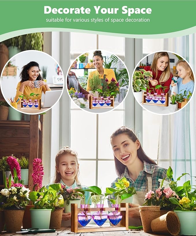 Nacome Plant Terrarium for Office Decor: Birthday Gifts for Plant Lovers Women Mom Wife - Wooden Stand Tabletop Planter 3 Bulb Glass Vase Heart Shaped for Hydroponics Indoor Home(Purple)