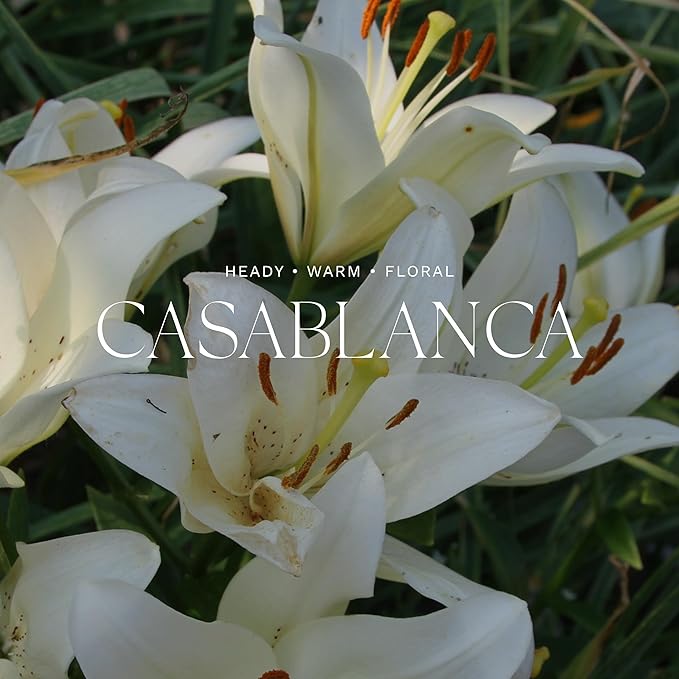 Antica Farmacista Home Ambiance Diffuser, Casablanca, 8.45 Fl Oz